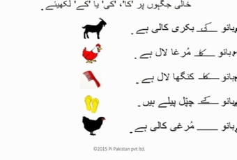 Urdu Term 1 - Lesson 10 
